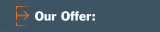 Our Offer: